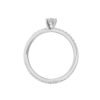 Model A_White Gold_A