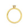 Model A_Yellow Gold_A