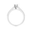 Model D_White Gold_A