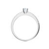Model E_White Gold_A
