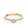 Model F_Yellow Gold_B