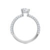 Model G_White Gold_A