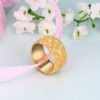 Van Amstel Ring Ilvo2