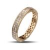 Van Amstel Ring Vobara1